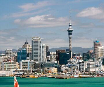 Auckland Property Market on the Rise